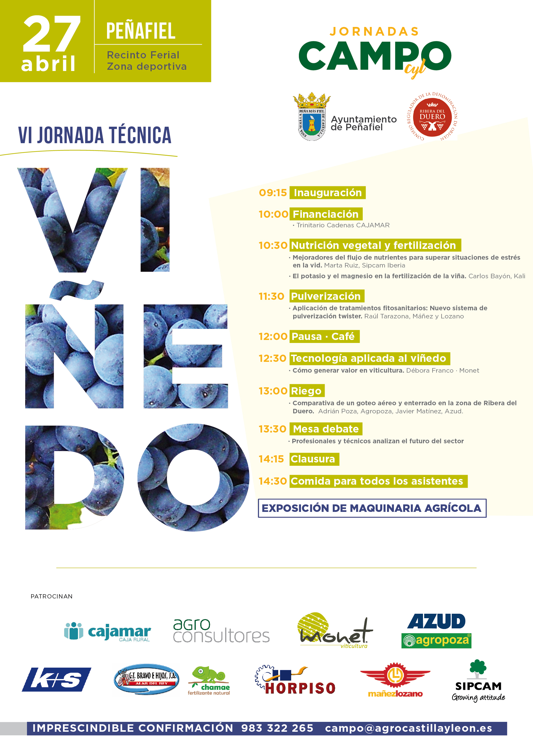 JORNADA viñedo CAMPO Peñafiel