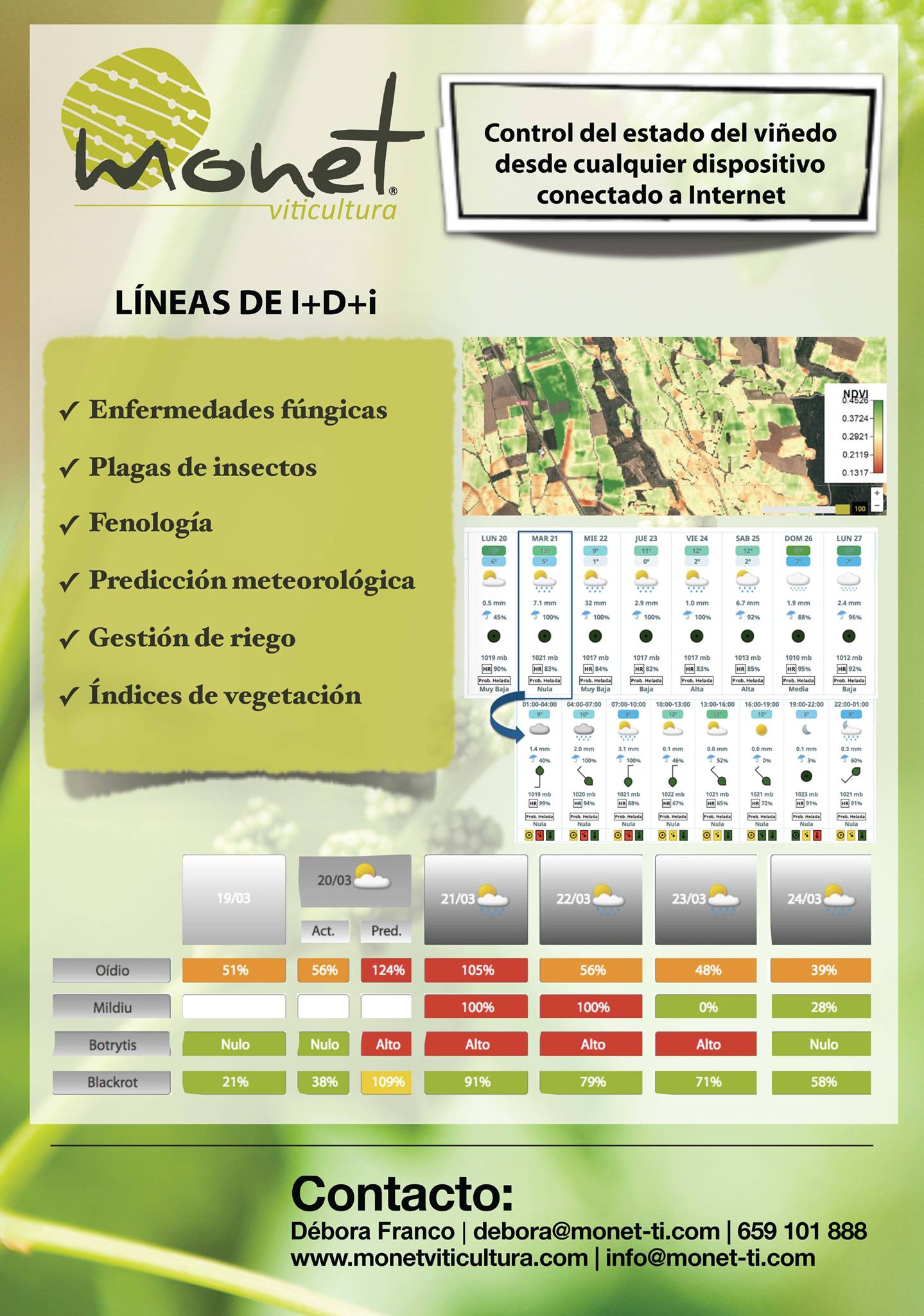 Líneas de I+D Monet Viticultura