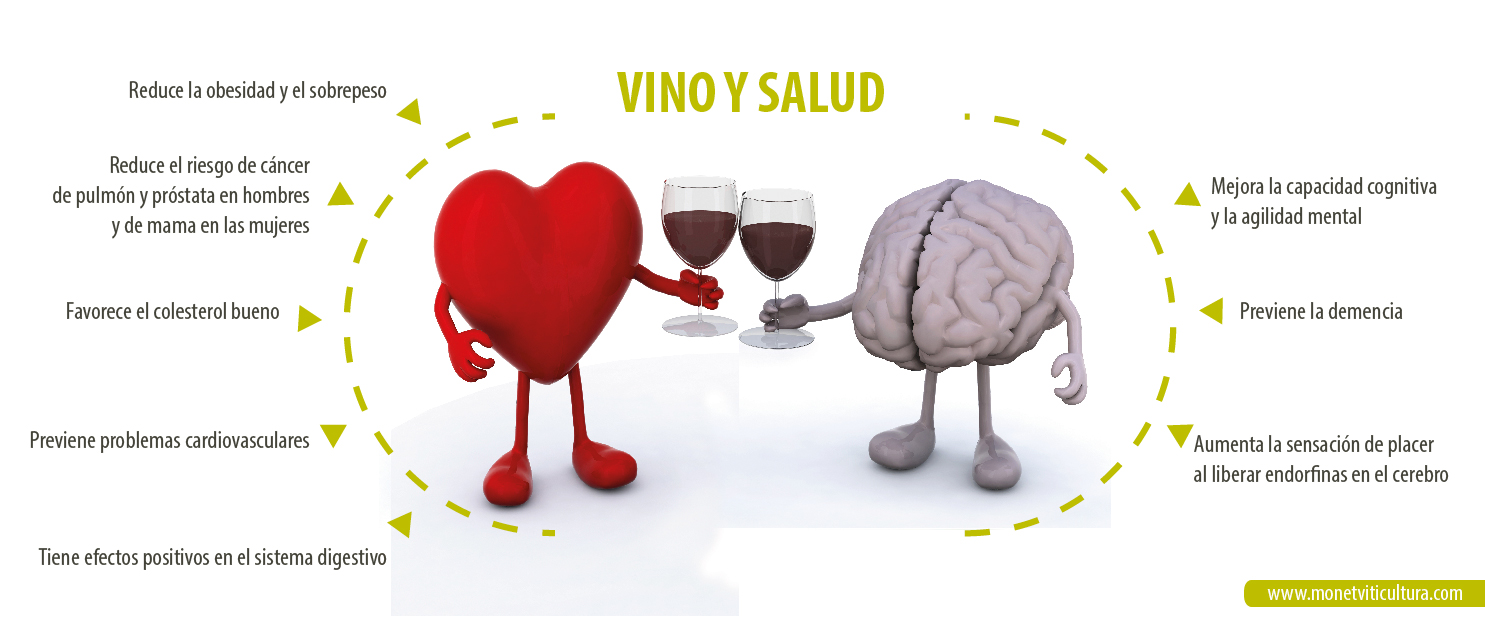 vino y salud