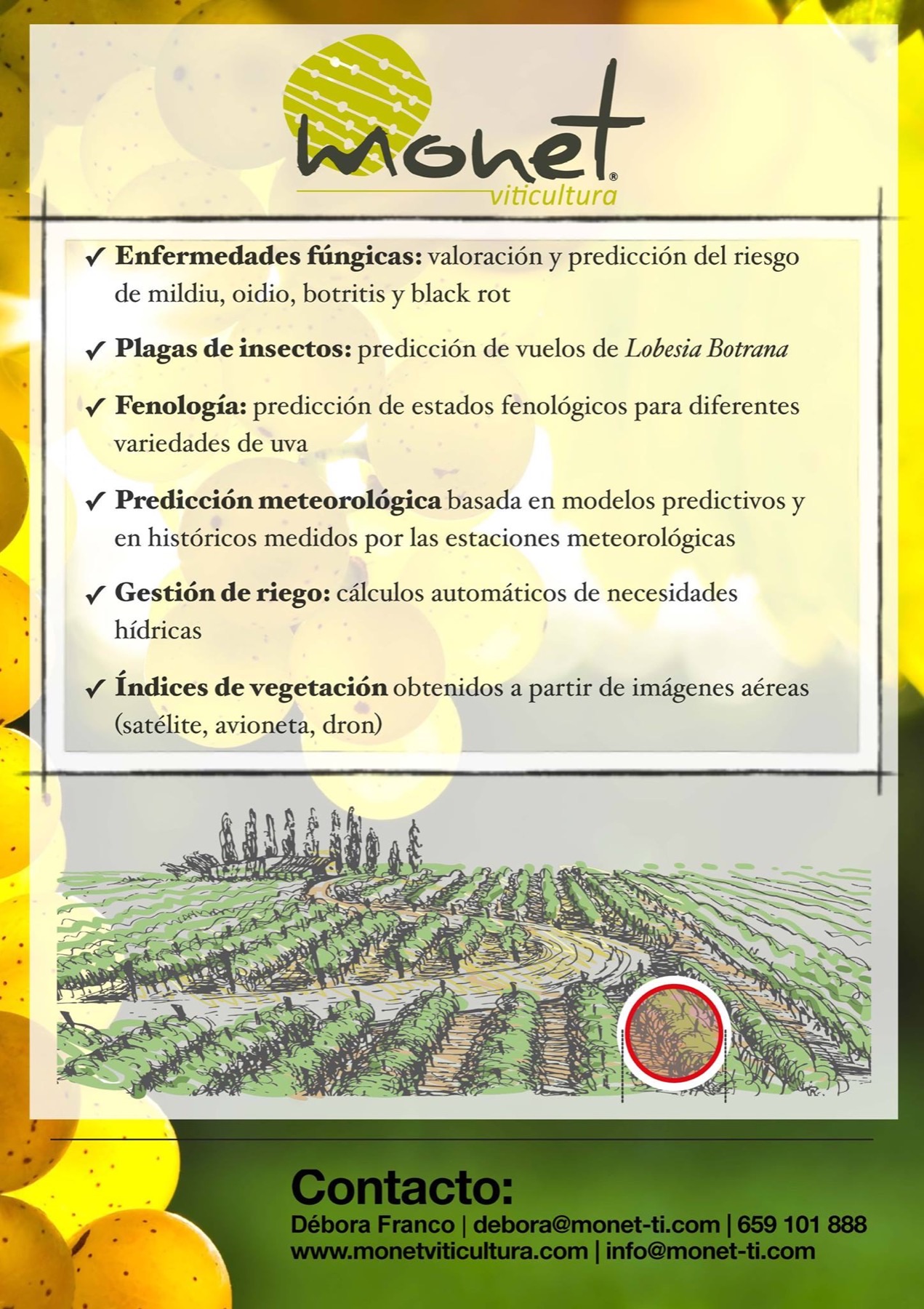 Panel informativo de Monet 2