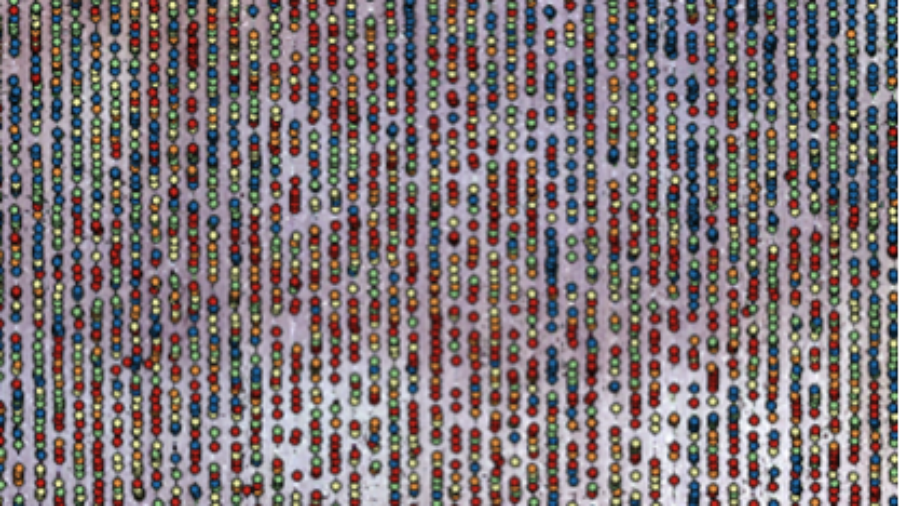 Monet VIticultura. Puntos vigor